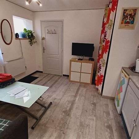 Studio Cosy Tout Confort Gaillac Centre. Kültér fotó