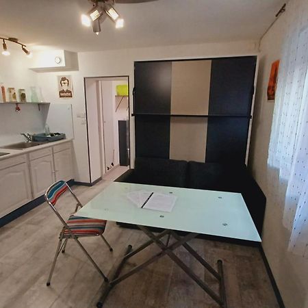 Studio Cosy Tout Confort Gaillac Centre. Kültér fotó